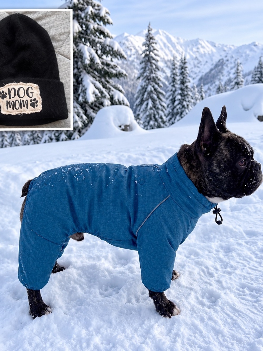 Ricki's High Performance. Blue Insulated Dog Snow/Track Suit - Size S